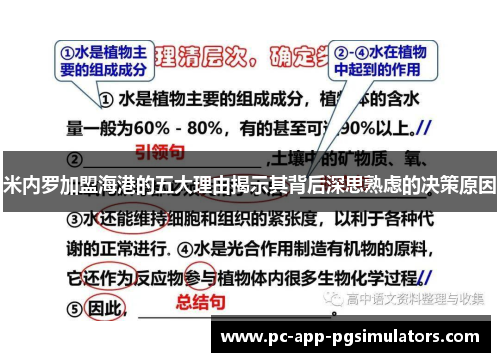 米内罗加盟海港的五大理由揭示其背后深思熟虑的决策原因 米内罗加盟海港的五大理由揭示其背后深思熟虑的决策原因