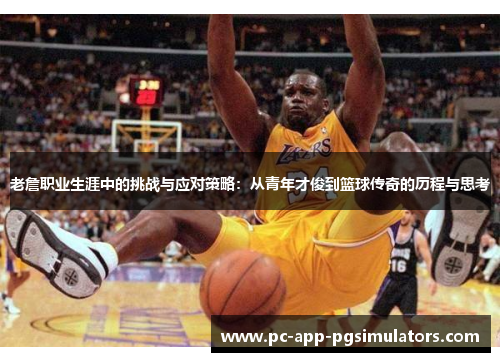 老詹职业生涯中的挑战与应对策略:从青年才俊到篮球传奇的历程与思考 老詹职业生涯中的挑战与应对策略:从青年才俊到篮球传奇的历程与思考