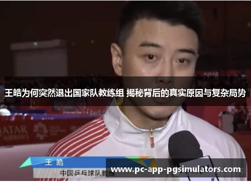 王皓为何突然退出国家队教练组 揭秘背后的真实原因与复杂局势