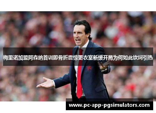 梅里诺加盟阿森纳首训即骨折震惊更衣室新援开局为何如此坎坷引热